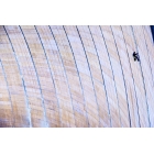 Arbeitsbeutel NLG mit 125 kg Tragfähigkeit – PVC, grün-schwarz, 400×320 mm