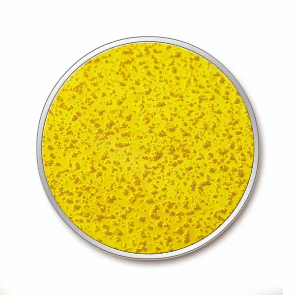 Beständiges, biegsames Bodenband mit Antirutsch-Oberfläche WT-5845 – PU, weiß, 50 mm × 25 m