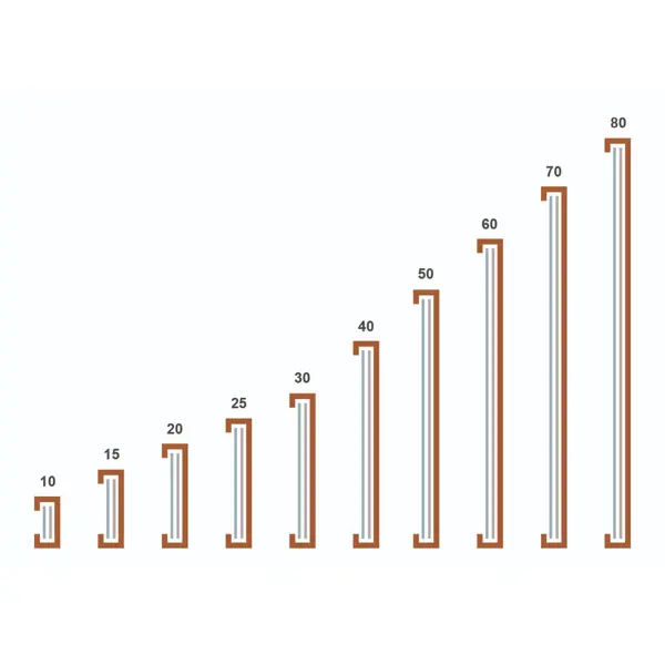 Magnetischer Etikettenhalter, Typ C – 40×80 mm, 100er-Pack