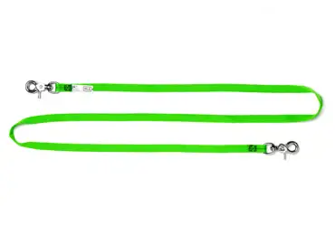 Textiler Hebegurt NLG Lanyard mit Tragfähigkeit von bis zu 5 kg – Nylon, grün, 10er-Pack